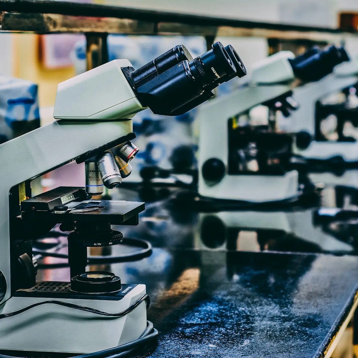 Binocular Compound Microscope